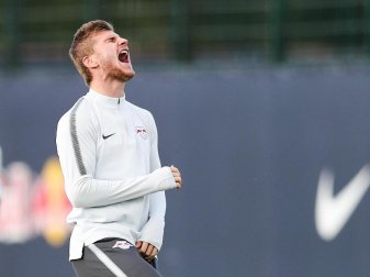 Möchte irgendwann bei einem großen Club spielen: Nationalspieler Timo Werner. Foto: Jan Woitas Möchte irgendwann bei einem großen Club spielen: Nationalspieler Timo Werner. Foto: Jan Woitas