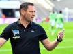 Gibt sein Trainer-Debüt auf internationaler Ebene: Hertha-Trainer Pal Dardai. Foto: Soeren Stache