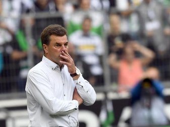 Gladbachs Trainer Dieter Hecking fehlen gleich acht Spieler. Foto: Federico Gambarini Gladbachs Trainer Dieter Hecking fehlen gleich acht Spieler. Foto: Federico Gambarini