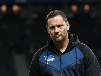 Pal Dardai bleibt zurückhaltend Pal Dardai bleibt zurückhaltend