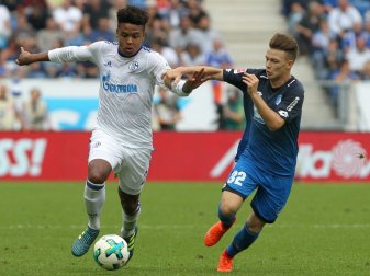 Schalke 04 verlängert mit Weston McKennie (l.) bis 2022 Schalke 04 verlängert mit Weston McKennie (l.) bis 2022