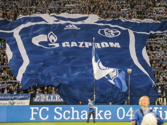 Die Fans setzen sich gegen Ausländerfeindlichkeit ein Die Fans setzen sich gegen Ausländerfeindlichkeit ein