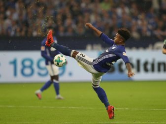 McKennie fehlt den Königsblauen beim Spiel in Berlin McKennie fehlt den Königsblauen beim Spiel in Berlin