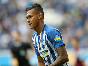 Davie Selke: Soll als Joker helfen Davie Selke: Soll als Joker helfen