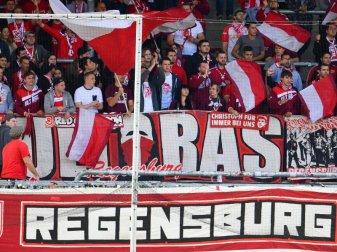 Die Fans von Jahn Regensburg müssen künftig ohne Investor auskommen. Foto: Uwe Anspach Die Fans von Jahn Regensburg müssen künftig ohne Investor auskommen. Foto: Uwe Anspach