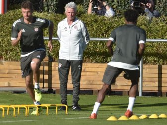 Bayern-Trainer Jupp Heynckes (M.) möchte in der Champions League viel erreichen. Foto: Angelika Warmuth Bayern-Trainer Jupp Heynckes (M.) möchte in der Champions League viel erreichen. Foto: Angelika Warmuth
