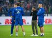 Schalke-Coach Domenico Tedesco berät sich mit seinem Trainer-Team. Foto: Guido Kirchner