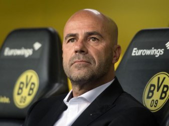 Trainer Peter Bosz will mit Borussia Dortmund die Bundesliga-Spitze verteidigen. Foto: Bernd Thissen Trainer Peter Bosz will mit Borussia Dortmund die Bundesliga-Spitze verteidigen. Foto: Bernd Thissen