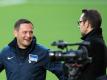 Herthas Trainer Pal Dardai (l) und Manager Michael Preetz sehen im FC Köln einen heiklen Gegner. Foto: Soeren Stache