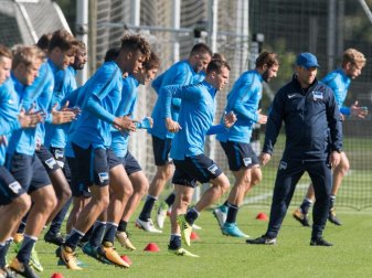 Seit sieben Pflichtspielen ist Hertha ohne Sieg - das will Trainer Pal Dardai gegen den HSV ändern. Foto: Soeren Stache Seit sieben Pflichtspielen ist Hertha ohne Sieg - das will Trainer Pal Dardai gegen den HSV ändern. Foto: Soeren Stache