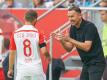 Trainer Beierlorzer (r.) und Regensburg siegen verdient