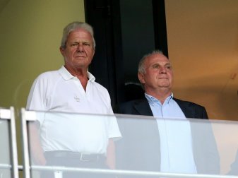 Hopp (l.) wird immer wieder Opfer offener Anfeindungen Hopp (l.) wird immer wieder Opfer offener Anfeindungen