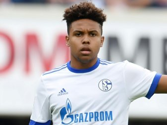 Weston McKennie wurde ins US-Nationalteam berufen Weston McKennie wurde ins US-Nationalteam berufen