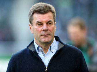 Dieter Hecking ist ein Befürworter des Videobeweises Dieter Hecking ist ein Befürworter des Videobeweises
