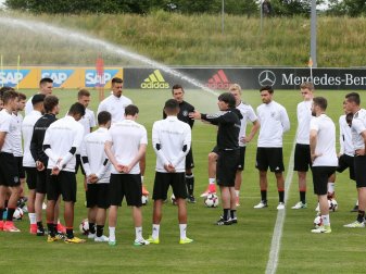 Länderspiel: Löw muss nur auf Boateng verzichten Länderspiel: Löw muss nur auf Boateng verzichten