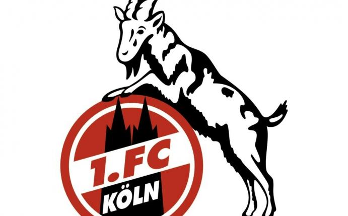 Ein Krawallmacher muss dem 1. FC Köln 20.340 Euro zahlen