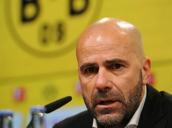 Peter Bosz blickt optimistisch in die Zukunft