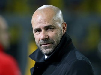 Hat keine Angst um seinen Job: Peter Bosz Hat keine Angst um seinen Job: Peter Bosz