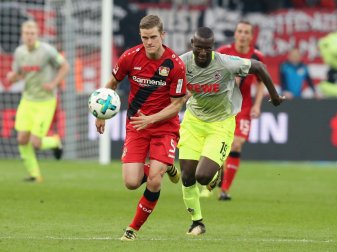 Fehlt Bayer auch in Frankfurt: Sven Bender Fehlt Bayer auch in Frankfurt: Sven Bender
