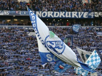 Schalker Fans besuchen Abschlusstraining vor dem Derby Schalker Fans besuchen Abschlusstraining vor dem Derby