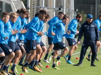 Hertha-Trainer Pal Dardai (r) konnte beim Training wieder Julian Schieber und Stark begrüßen. Foto: Soeren Stache Hertha-Trainer Pal Dardai (r) konnte beim Training wieder Julian Schieber und Stark begrüßen. Foto: Soeren Stache
