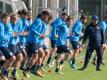 Hertha-Trainer Pal Dardai (r) konnte beim Training wieder Julian Schieber und Stark begrüßen. Foto: Soeren Stache