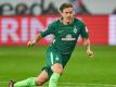 Bremen gewinnt - Siegtreffer durch Max Kruse