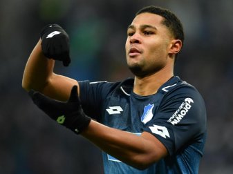 Hoffenheims Serge Gnabry jubelt seinem sehenswerten Treffer. Foto: Uwe Anspach Hoffenheims Serge Gnabry jubelt seinem sehenswerten Treffer. Foto: Uwe Anspach