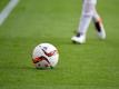 Am 24. August rollt nach der WM 2018 der Ball wieder in der Fußball-Bundesliga. Foto: Jan Woitas