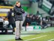 HSV-Trainer Markus Gisdol war nach der Niederlage gegen Borussia Mönchengladbach bedient. Foto: Marius Becker
