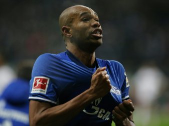 Naldo sicherte Schalke gegen Frankfurt einen Punkt Naldo sicherte Schalke gegen Frankfurt einen Punkt