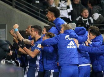 Die Schalker feierten - mal wieder - einen späten Ausgleichstreffer. Foto: Hasan Bratic Die Schalker feierten - mal wieder - einen späten Ausgleichstreffer. Foto: Hasan Bratic