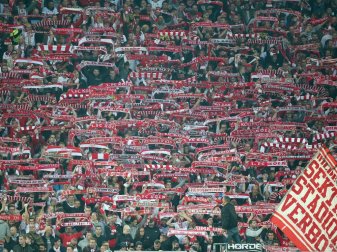 Anhänger der Wilden Horde hetzen gegen Fanbeauftragten