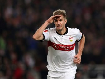 VfB und Terodde hoffen auf seinen Einsatz im DFB-Pokal VfB und Terodde hoffen auf seinen Einsatz im DFB-Pokal