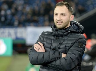 Domenico Tedesco könnte langfristig auf Schalke bleiben Domenico Tedesco könnte langfristig auf Schalke bleiben