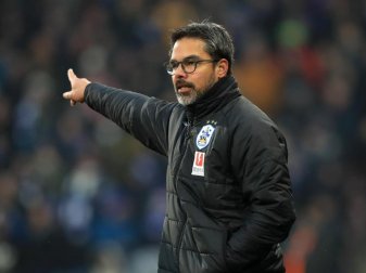 Huddersfields Trainer David Wagner kann sich ein Engagement in der Bundesliga vorstellen. Foto: Mike Egerton Huddersfields Trainer David Wagner kann sich ein Engagement in der Bundesliga vorstellen. Foto: Mike Egerton