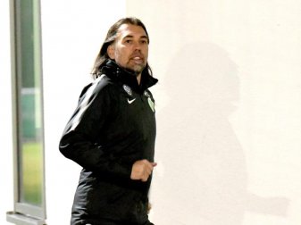 Misst dem Disput seiner Spieler Dimata und Didavi keinen großen Wert bei: Wolfsburg-Coach Martin Schmidt Foto: Peter Steffen