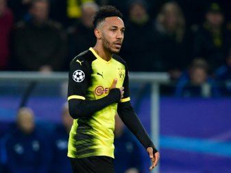 Medien: Chinesische Klubs wollen Aubameyang Medien: Chinesische Klubs wollen Aubameyang