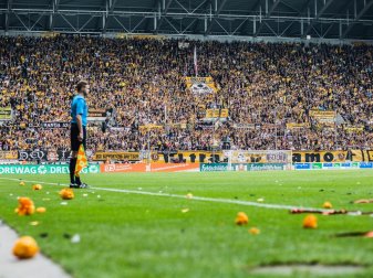 Im Stadion der Dresdner wird neuer Rasen verlegt Im Stadion der Dresdner wird neuer Rasen verlegt
