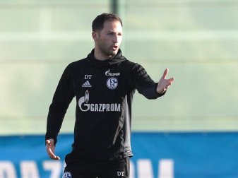 Die Schalker von Trainer Domenico Tedesco haben seit 13 Pflichtspielen nicht mehr verloren. Foto: Tim Rehbein Die Schalker von Trainer Domenico Tedesco haben seit 13 Pflichtspielen nicht mehr verloren. Foto: Tim Rehbein