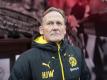 Dortmunds Geschäftsführer Hans-Joachim Watzke erwartet mehr von André Schürrle. Foto: Bernd Thissen