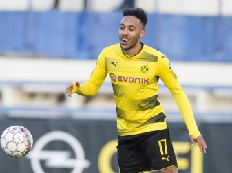 Aubameyang war nach einer weiteren Suspendierung Hauptthema bei Dortmunds Unentschieden gegen Wolfsburg. Foto: David Inderlied Aubameyang war nach einer weiteren Suspendierung Hauptthema bei Dortmunds Unentschieden gegen Wolfsburg. Foto: David Inderlied