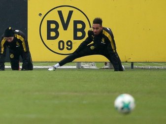 Soll am Wochende wieder für den BVB spielen: Aubameyang Soll am Wochende wieder für den BVB spielen: Aubameyang