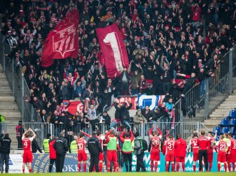 Ein Zwickau-Fan riss sich einen Teil des Fingers ab Ein Zwickau-Fan riss sich einen Teil des Fingers ab