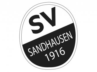 SV Sandhausen muss auf Ken Gipson verzichten SV Sandhausen muss auf Ken Gipson verzichten