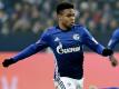 Schalkes Weston McKennie fällt rund sechs Wochen aus