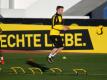 Marco Reus vor Rückkehr ins Mannschaftstraining
