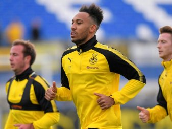 Guter Trainingseindruck: Aubameyang vor Kader-Rückkehr Guter Trainingseindruck: Aubameyang vor Kader-Rückkehr