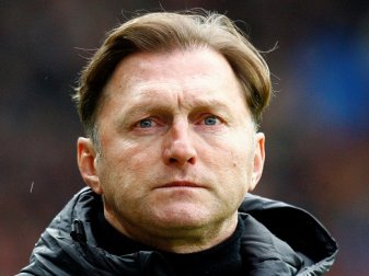 Ralph Hasenhüttl will keinen Panikkauf tätigen Ralph Hasenhüttl will keinen Panikkauf tätigen
