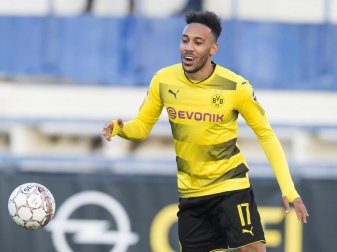 Dortmund setzte gegen Freiburg im Sturm auf Pierre-Emerick Aubameyang. Foto: David Inderlied Dortmund setzte gegen Freiburg im Sturm auf Pierre-Emerick Aubameyang. Foto: David Inderlied